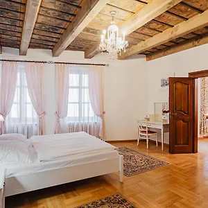 U Cerneho Medveda- At The Black Bear Apartamento Praga