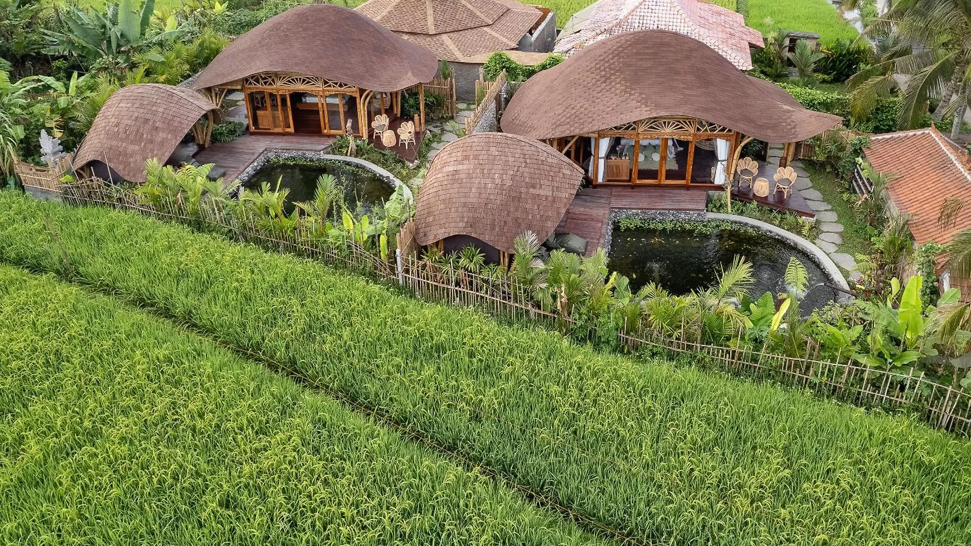 Arapan Ubud Eco Villa