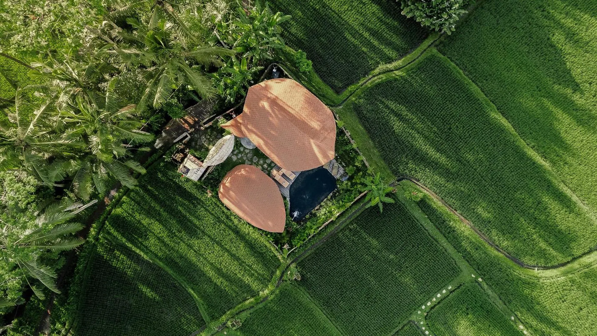 Arapan Ubud Eco Villa Indonésie
